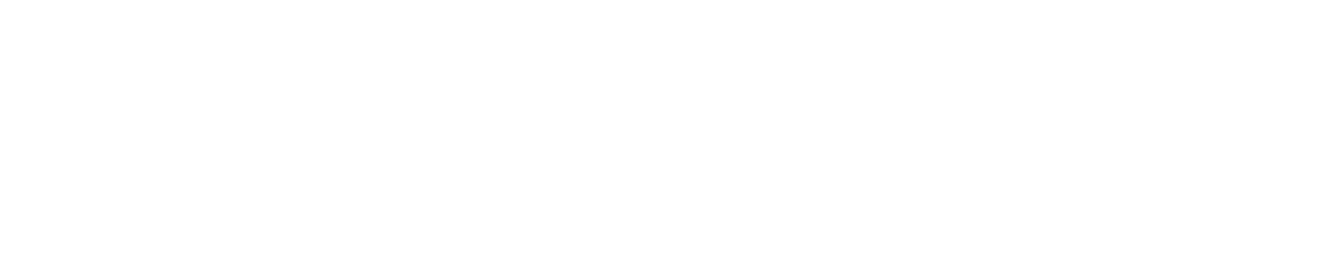 NAPSA Future Fund Logo